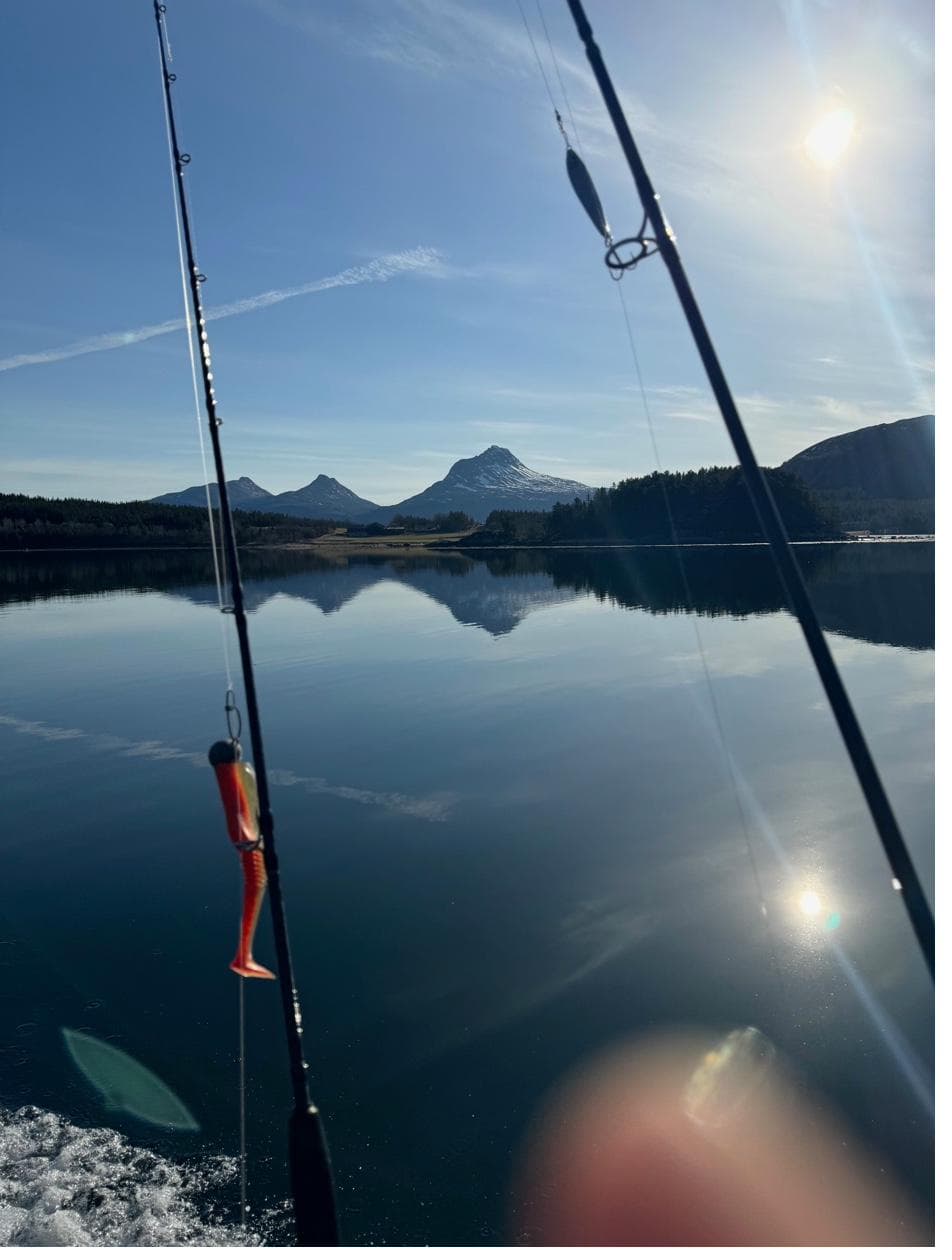 Fiskestenger mot fjorden med fjell i bakgrunnen